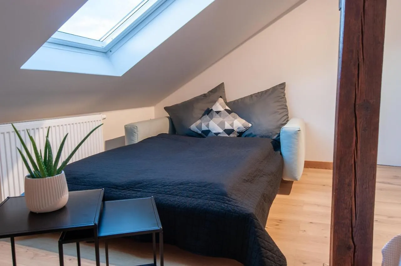 Lejlighed Grosse Familienfreundliche Wohnung In Dresden Tyskland